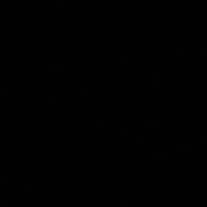 Meet your Posher, Shaniekqua